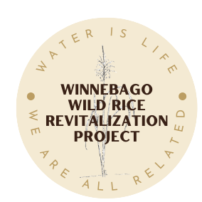 Intertribal Lake Winnebago Wild Rice Revitalization Project
